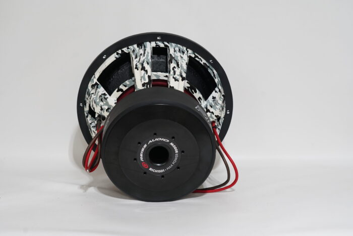 DSC09012 Reiss Audio Rich15 D1 Subwoofer 8000 watt - immagine 5